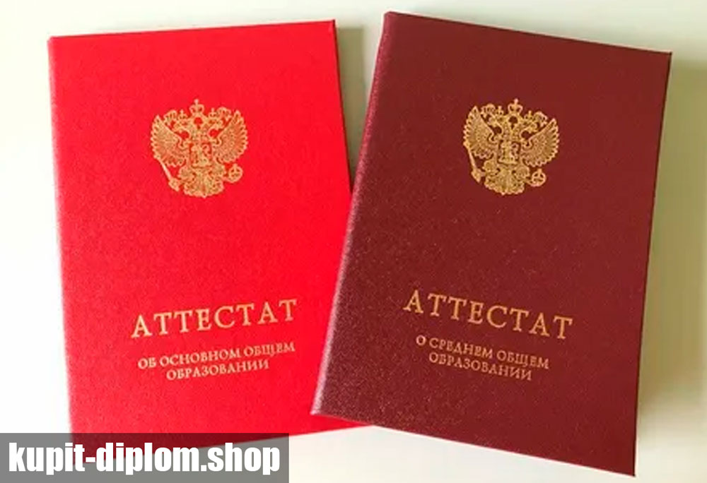 Как купить настоящий аттестат: советы тем кто хочет воспользоваться покупкой
